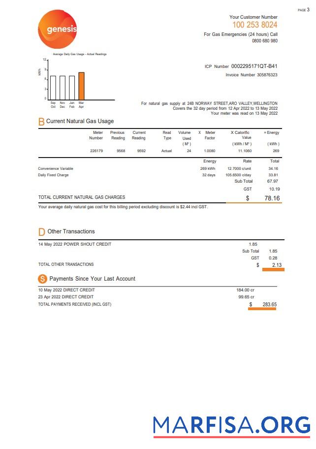 Printable New Zealand Genesis Gas utility bill template in Word and PDF format, 3 pages 2